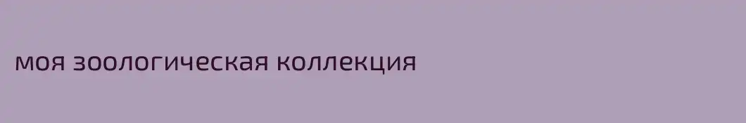 моя зоологическая коллекция